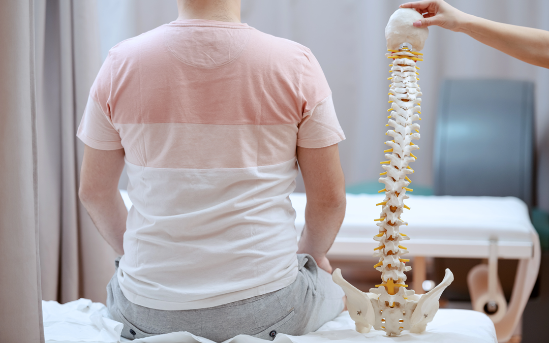 The Real Reason You Feel Taller After an Adjustment